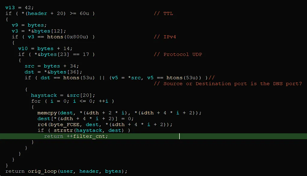 Decompiler view of check_pkt filtering UDP DNS packets by TTL, IPv4 header and a hardcoded domain string.